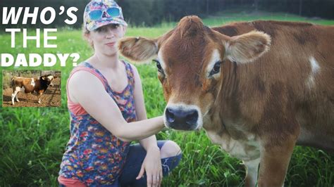 girls and bulls echtgeld|Breedingfamilys .